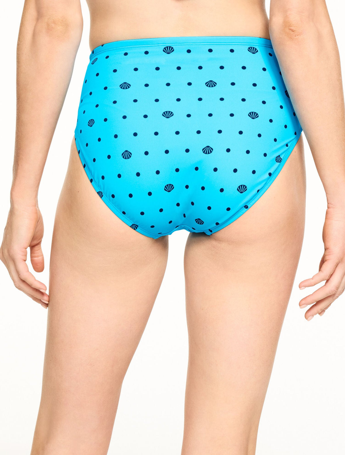 MIRACLESUIT® DIAMOND BASIC BRIEF - SEASHELL DOT | Talbots