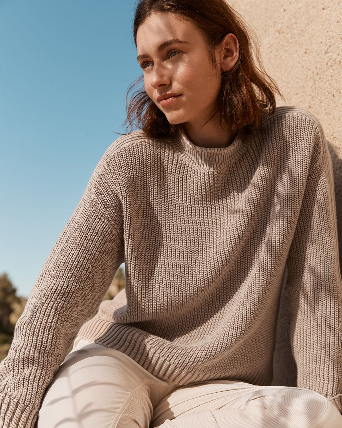 GARMENT-DYED ORGANIC COTTON ROLLNECK SWEATER | Talbots