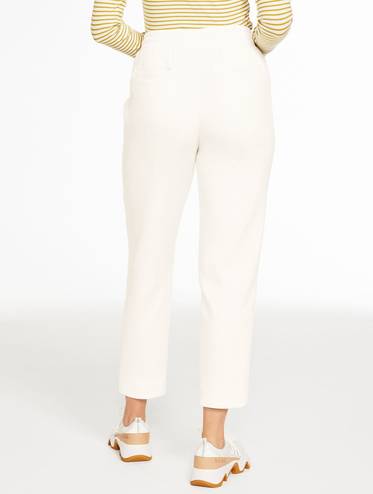 AIRKNIT STRETCH TAPERED LEG PANTS | Talbots