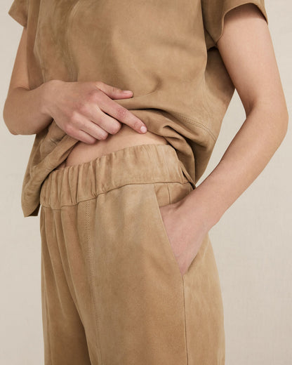 SUEDE PANTS | Talbots