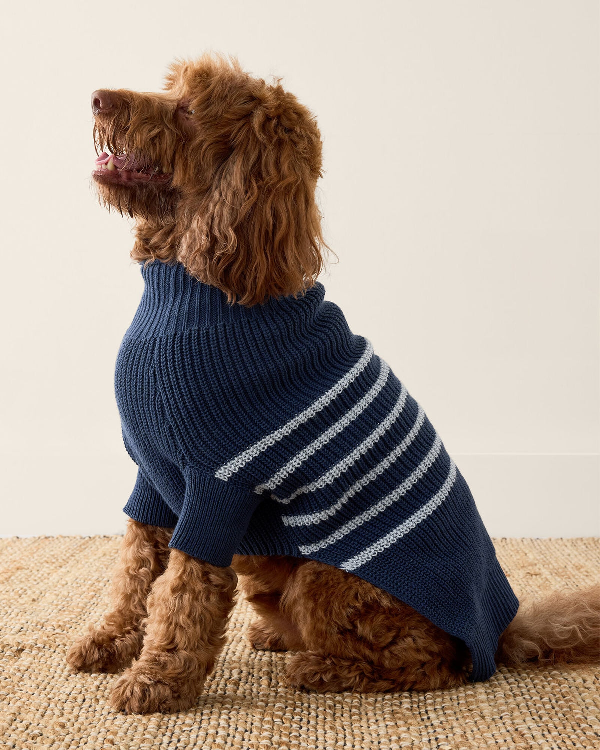 ORGANIC COTTON STRIPED DOG SWEATER | Talbots