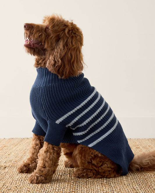 ORGANIC COTTON STRIPED DOG SWEATER | Talbots