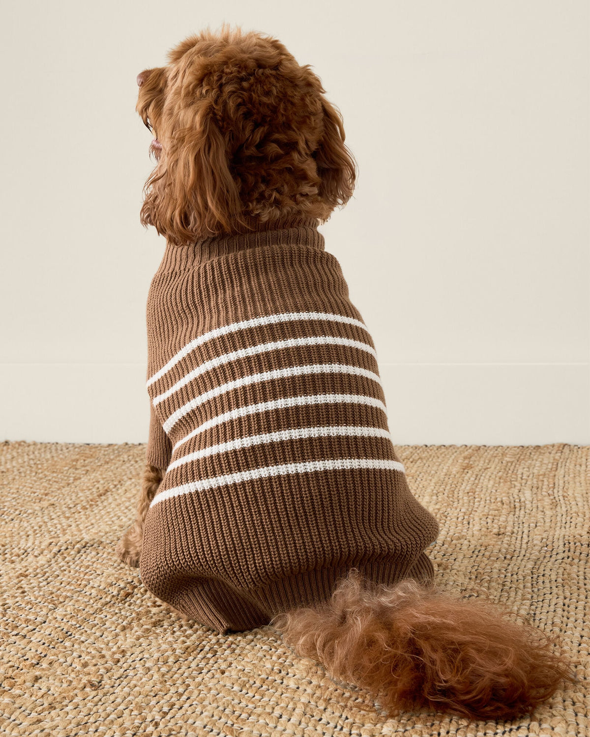 ORGANIC COTTON STRIPED DOG SWEATER | Talbots