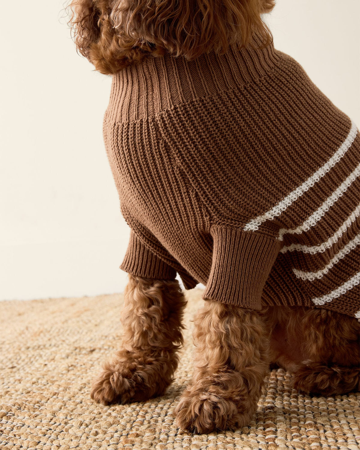 ORGANIC COTTON STRIPED DOG SWEATER | Talbots