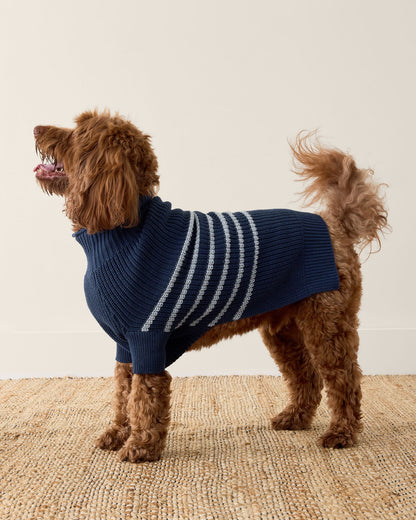 ORGANIC COTTON STRIPED DOG SWEATER | Talbots