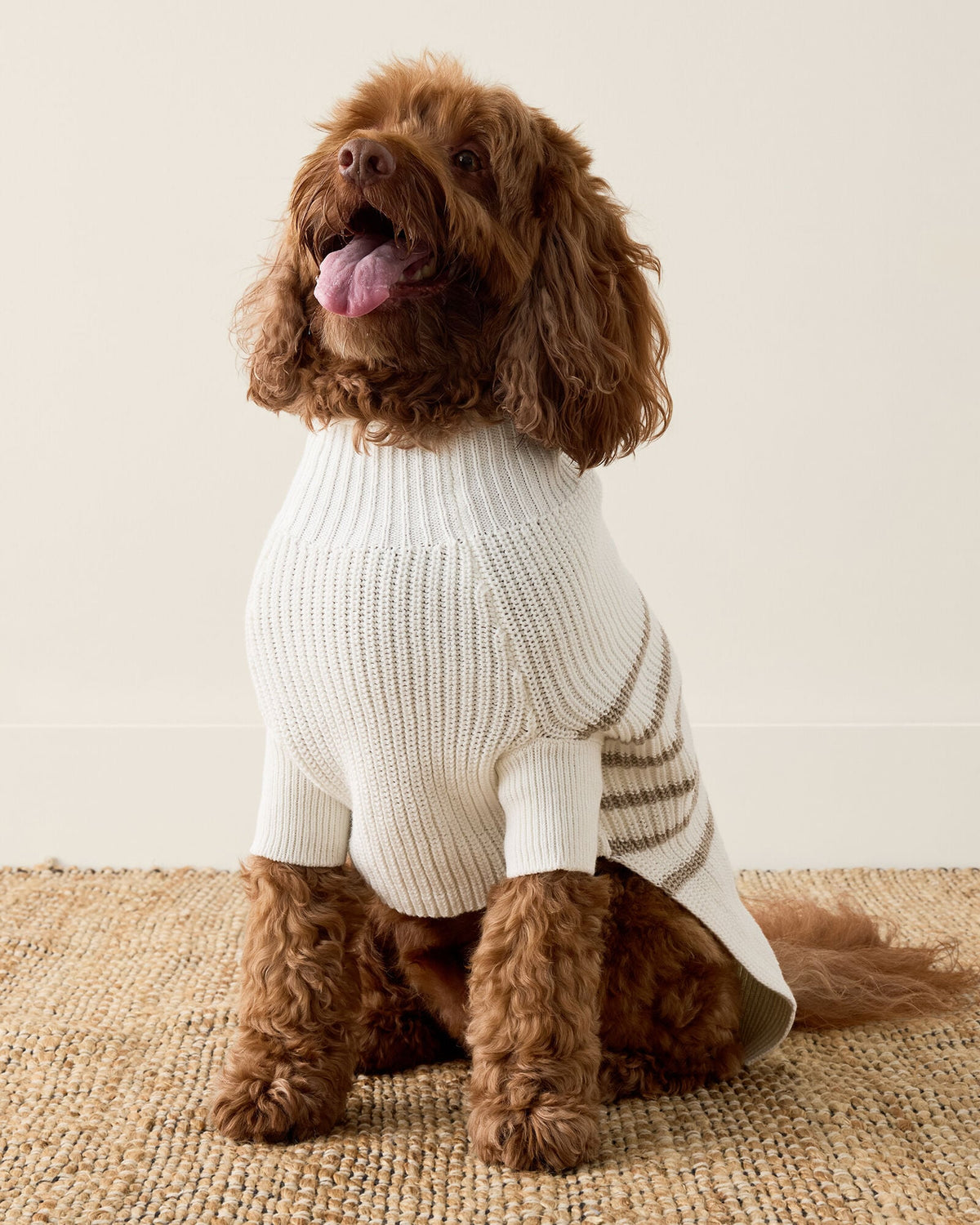 ORGANIC COTTON STRIPED DOG SWEATER | Talbots
