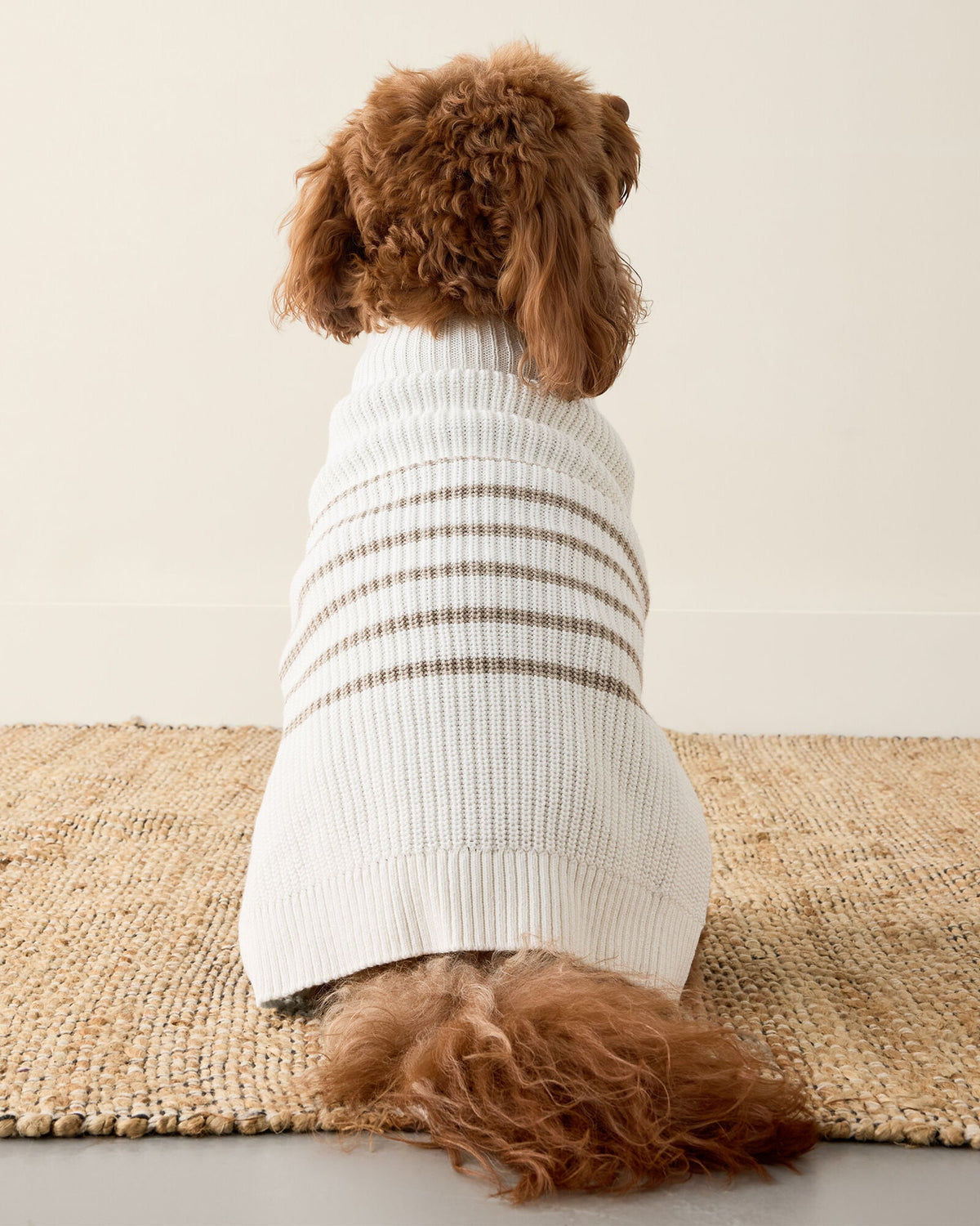 ORGANIC COTTON STRIPED DOG SWEATER | Talbots