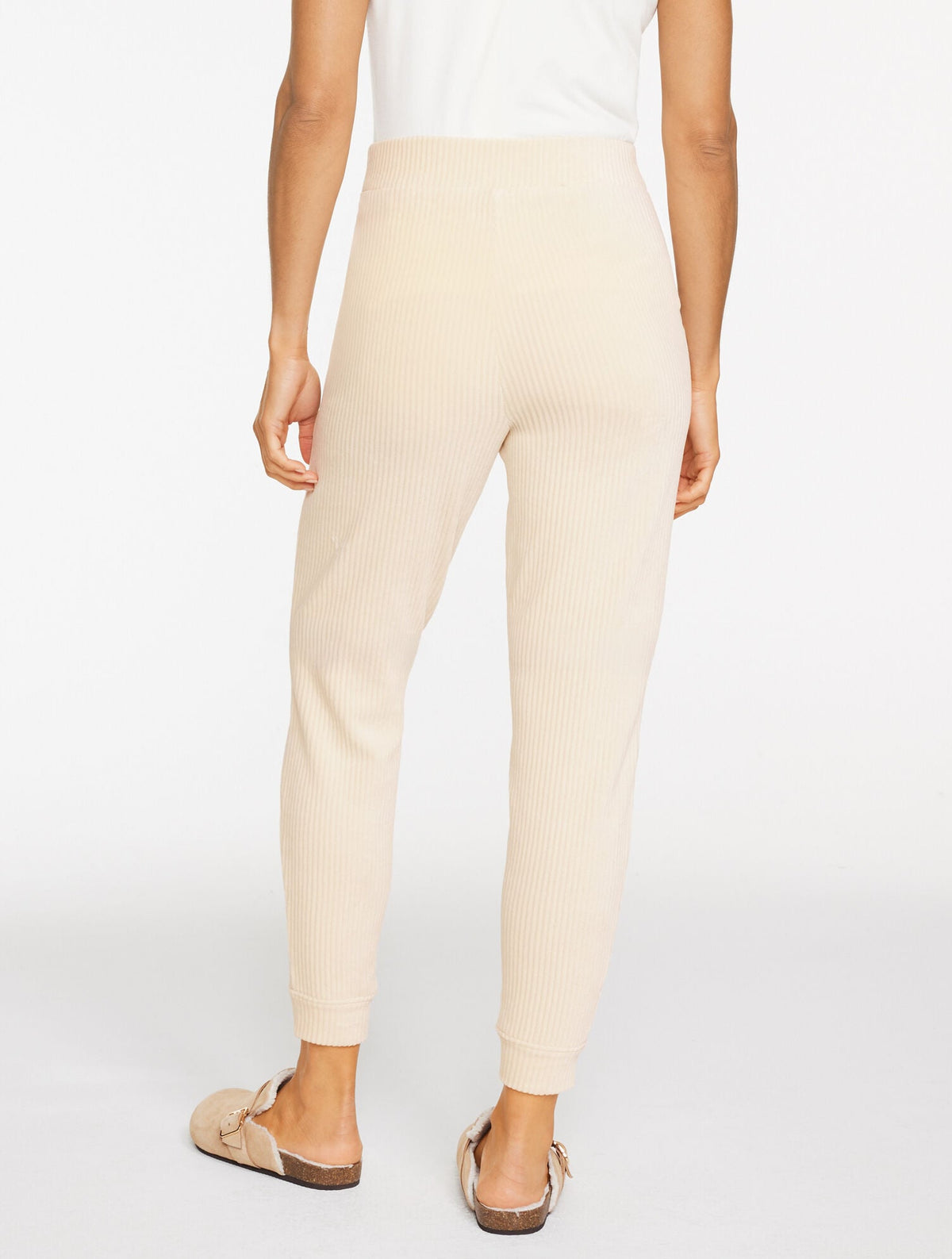 SKY LOUNGE VELOUR JOGGERS | Talbots