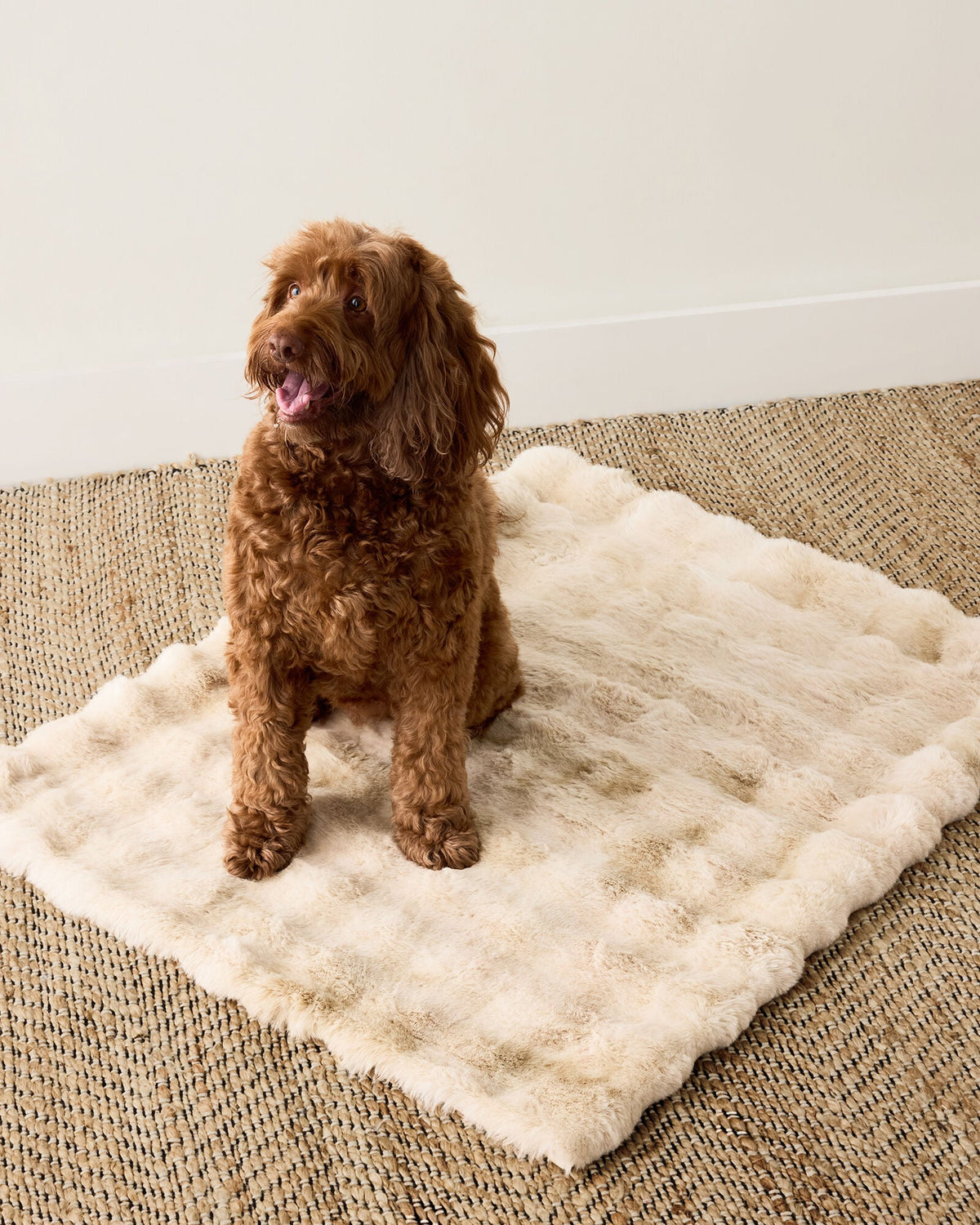 FAUX FUR PET THROW BLANKET | Talbots