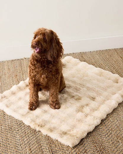 FAUX FUR PET THROW BLANKET | Talbots