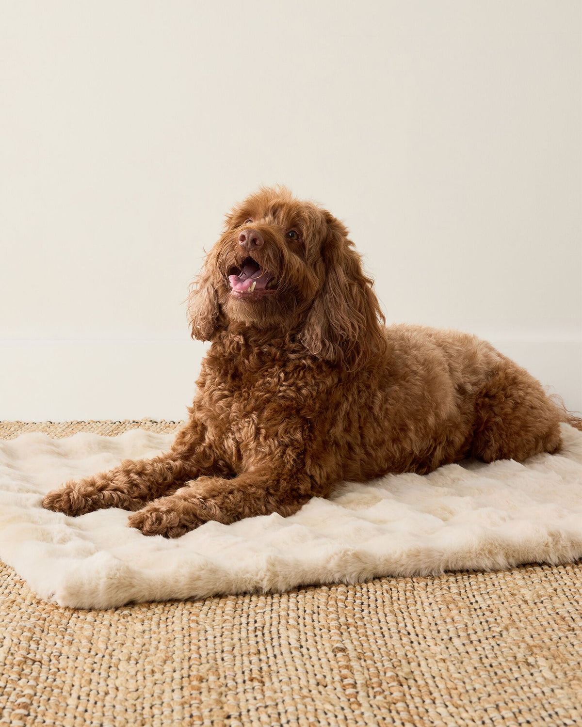 FAUX FUR PET THROW BLANKET | Talbots