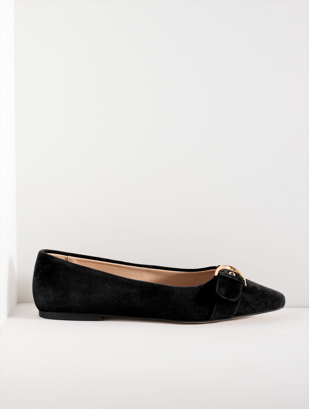 WHITLEY BUCKLE SUEDE BALLET FLATS | Talbots